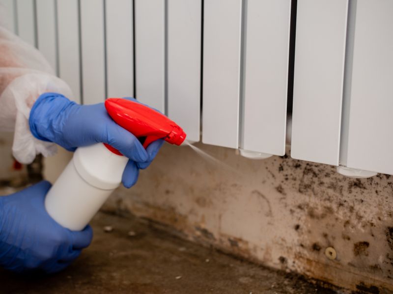 Attic Mold Remediation in Jupiter, FL