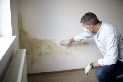 Attic Mold Remediation in Fort Worth, TX