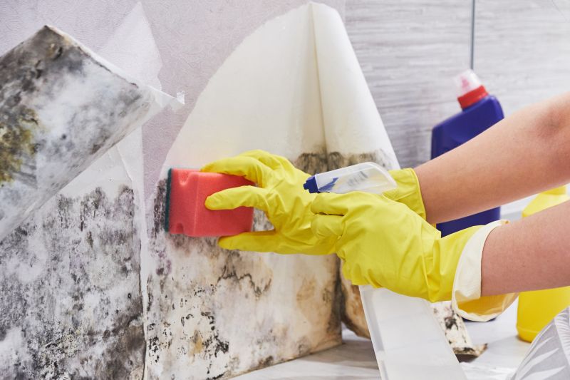 Attic Mold Remediation in Fort Lauderdale, FL