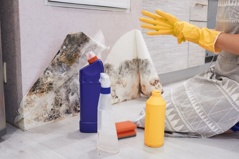 Black Mold Remediation in Fort Worth, TX