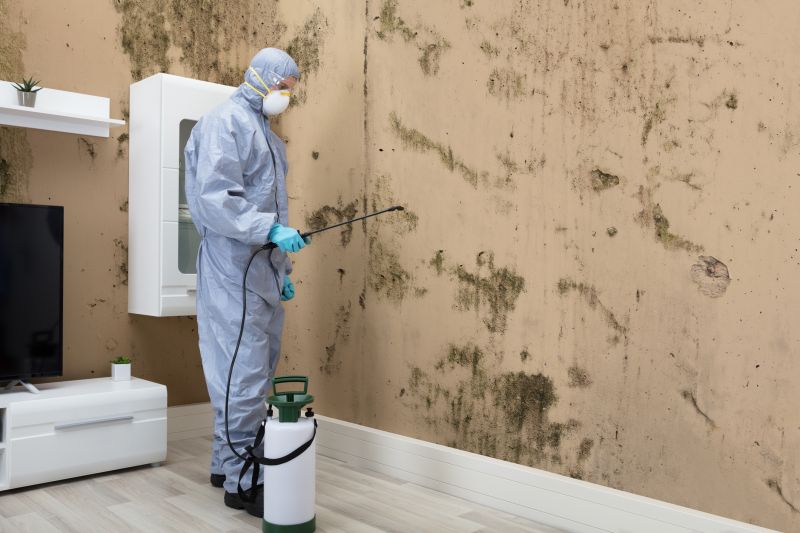 Black Mold Removal in Bergen County, NJ