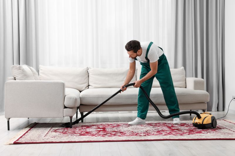 Couch Cleaning Service