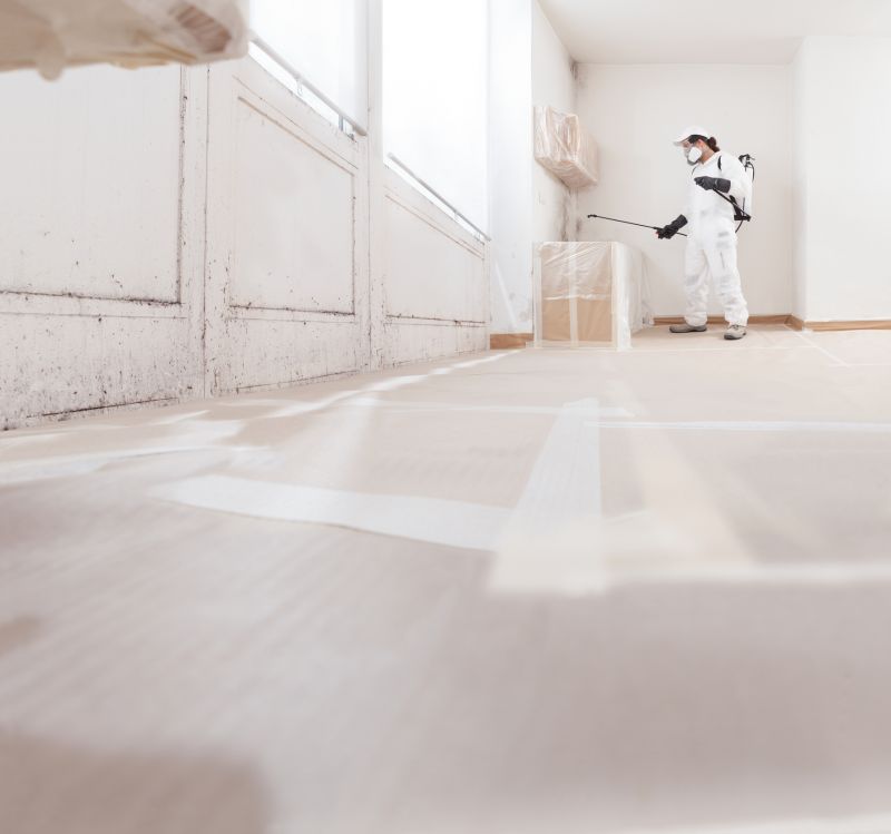 Crawlspace Mold Remediation in Bergen County, NJ