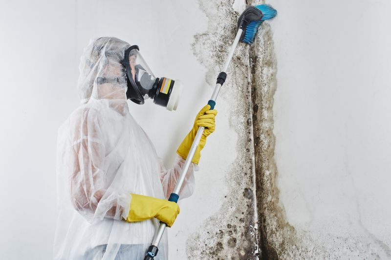 Crawlspace Mold Remediation in Dallas, TX