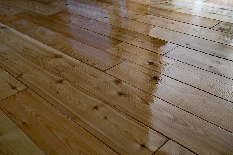 Hardwood Floor Cleaning Service