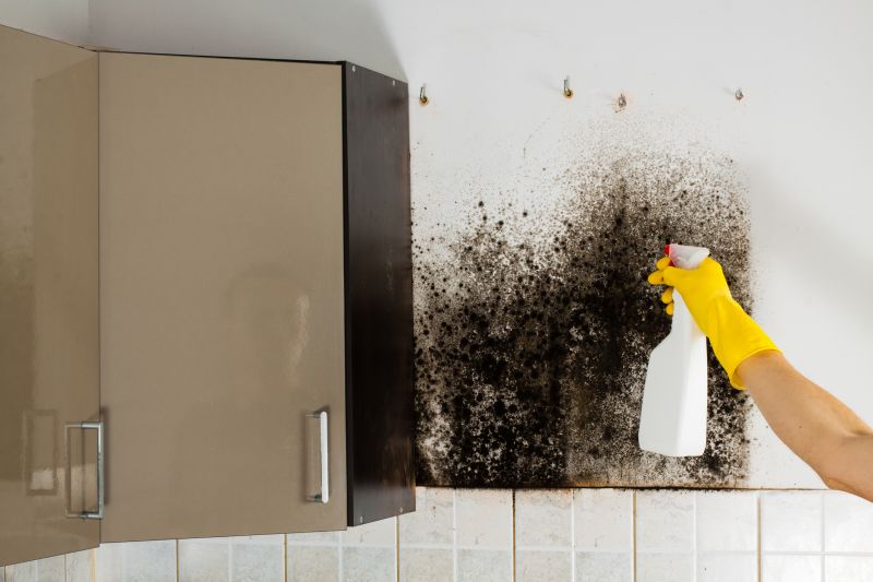 Mold Cleanup Service in West Palm Beach, FL