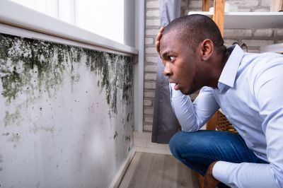 Mold Inspection And Removal in Dallas, TX