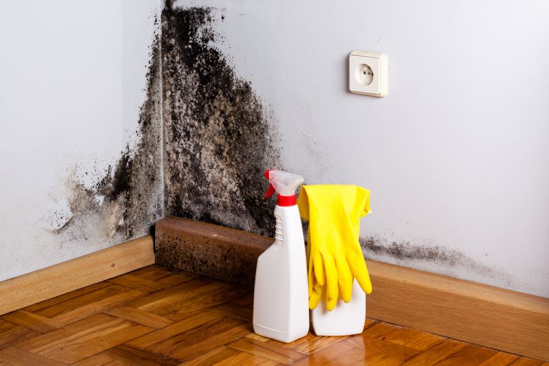 Mold Mitigation Service in Jupiter, FL