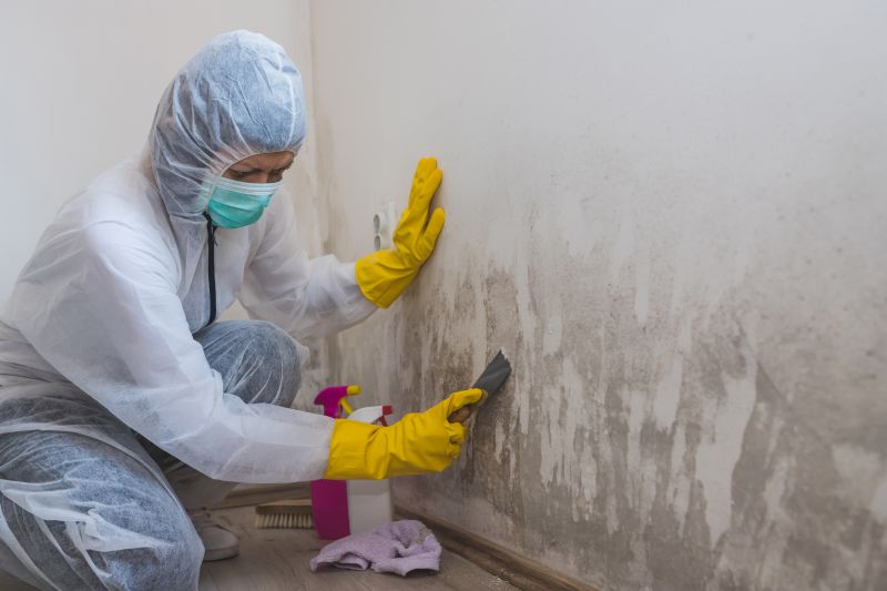 Mold Remediation Service in West Palm Beach, FL