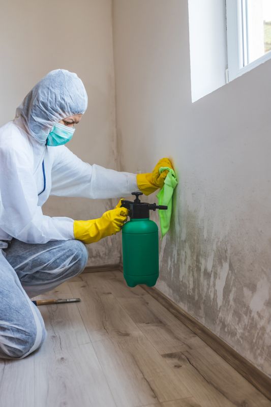 Mold Restoration in West Palm Beach, FL