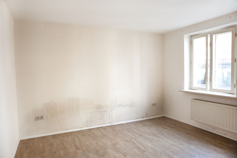 White Mold Mitigation in Boca Raton, FL