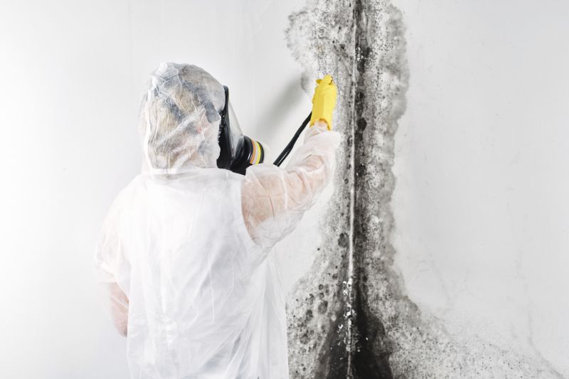 Basement Mold Remediation in Fort Worth, TX