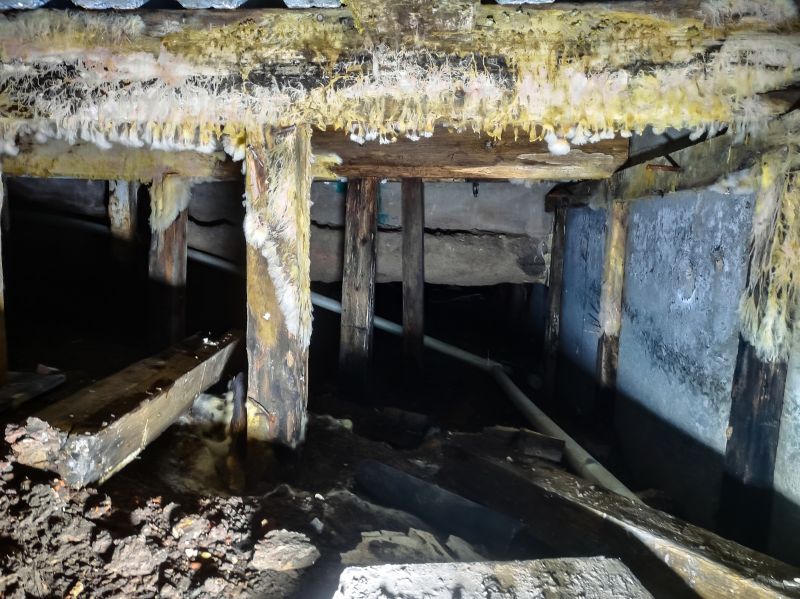 Basement Mold Remediation in Jupiter, FL