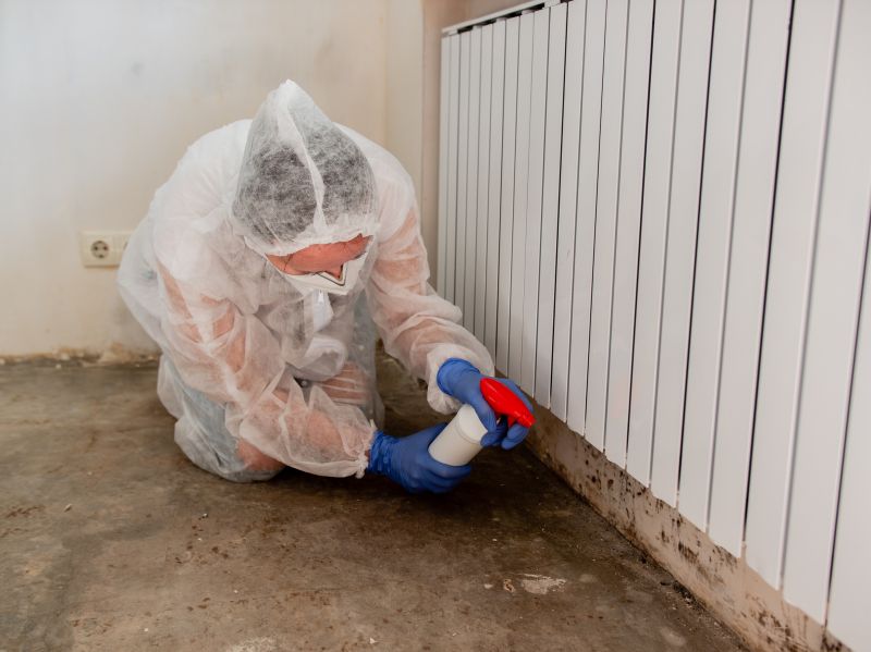 Basement Mold Removal in Essex County, NJ