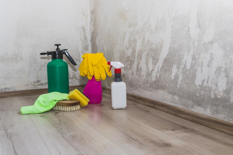 Black Mold Remediation in Boca Raton, FL