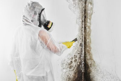 Black Mold Removal in Delray Beach, FL
