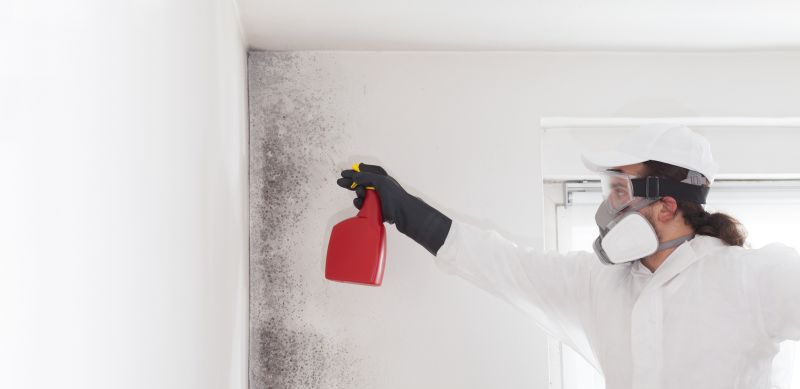 Crawlspace Mold Remediation in Frisco, TX