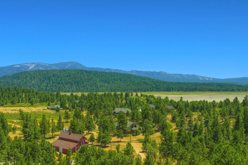 Local Hardwood Floor Polishing in Big Bear City, CA