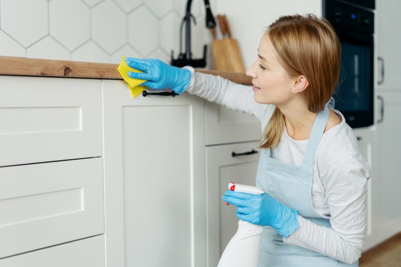 Kitchen Cleaning Service in Redmond, WA