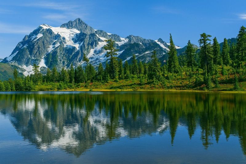 Local Maid Service in Maple Valley, WA