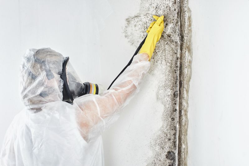 Mold Control in Weatherford, TX