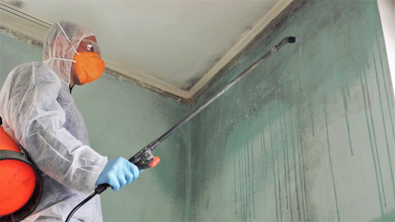 Mold Mitigation Service in West Palm Beach, FL