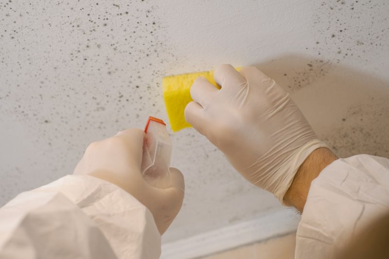 Mold Restoration in Boca Raton, FL