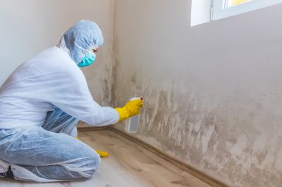 Mold Treatment Service in Fort Worth, TX