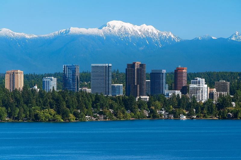 Local Move In Cleaning Service in Renton, WA